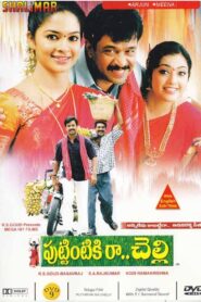 Puttintiki Raa Chelli 2004 on netflix