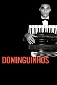 Dominguinhos 2014 on netflix