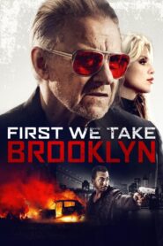 First We Take Brooklyn 2018 on netflix