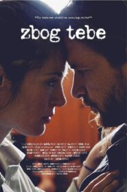 Because of You 2016 on netflix