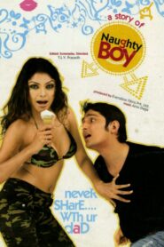 Naughty Boy 2006 on netflix
