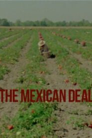 Le Deal mexicain 1980 on netflix