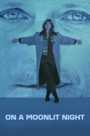 On a Moonlit Night 1989 on netflix