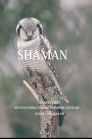 The Shaman 1997 on netflix