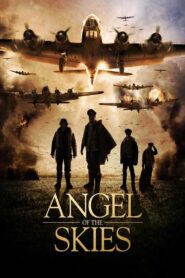 Angel of the Skies 2013 on netflix