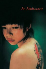 An Adolescent 2001 on netflix
