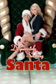 Desperately Seeking Santa 2012 on netflix