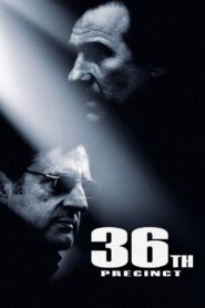 36th Precinct 2004 on netflix