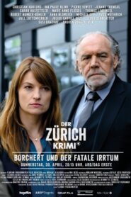 Money. Murder. Zurich.: Borchert and the fatal error 2020 on netflix