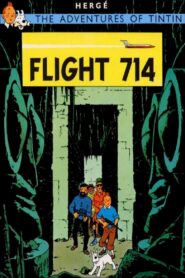 Flight 714 1992 on netflix