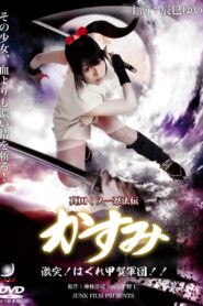 Lady Ninja Kasumi 8: Clash! Kouga vs. Iga Ninja 2009 on netflix