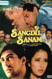 Sangdil Sanam 1994 on netflix