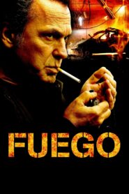 Fire 2014 on netflix