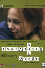 Tartarughe sul dorso 2005 on netflix