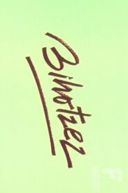 Bihotzez 1985 on netflix