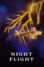 Night Flight 2020 on netflix