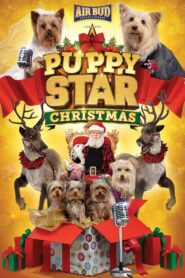 Puppy Star Christmas 2018 on netflix