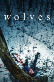 Wolves 2022 on netflix