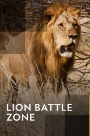 Lion Battle Zone 2012 on netflix