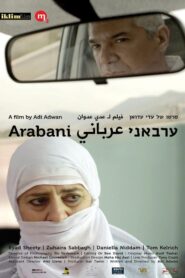 Arabani 2013 on netflix