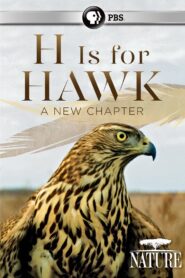 H Is for Hawk: A New Chapter 2017 on netflix