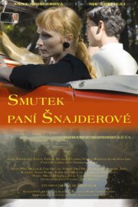The Sorrow of Mrs. Schneider 2008 on netflix