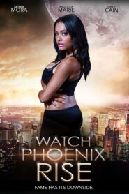Watch Phoenix Rise 2014 on netflix