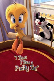 I Tawt I Taw a Puddy Tat 2011 on netflix