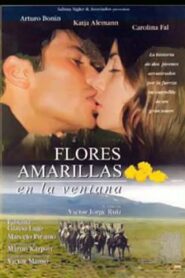 Flores amarillas en la ventana 1996 on netflix