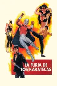 The Fury of the Karate Experts 1982 on netflix