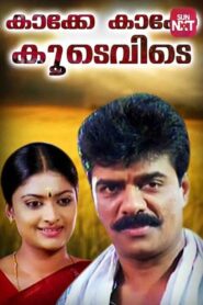 Kakke Kakke Koodevide 2002 on netflix