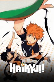 Haikyu!! 2014 on netflix