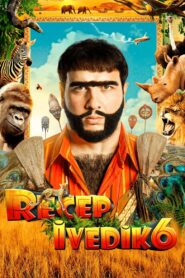 Recep Ivedik 6 2019 on netflix