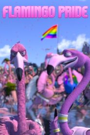 Flamingo Pride 2011 on netflix