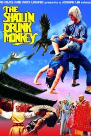 The Shaolin Chief Cook 1981 on netflix
