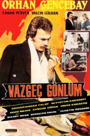 Vazgeç Gönlüm 1980 on netflix