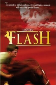 Flash 1997 on netflix