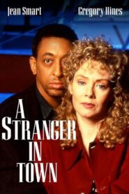 A Stranger in Town 1995 on netflix