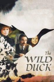The Wild Duck 1984 on netflix