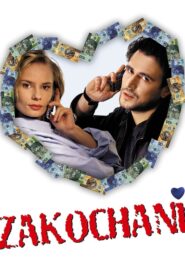 In Love 2000 on netflix