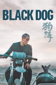Black Dog 2024 on netflix