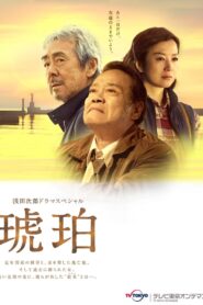 Kohaku 2017 on netflix