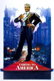 Coming to America 1988 on netflix