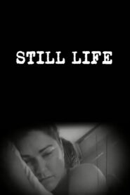 Still Life 2007 on netflix