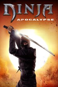 Ninja Apocalypse 2014 on netflix