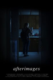 Afterimages 2020 on netflix