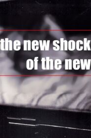 The NEW Shock of the New 2004 on netflix