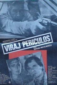 Dangerous Turn 1983 on netflix
