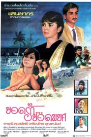 ยอดรักยอดพยศ 1984 on netflix