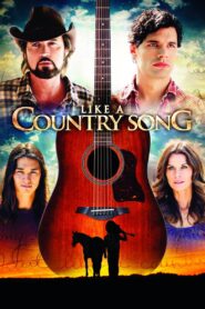 Like a Country Song 2014 on netflix